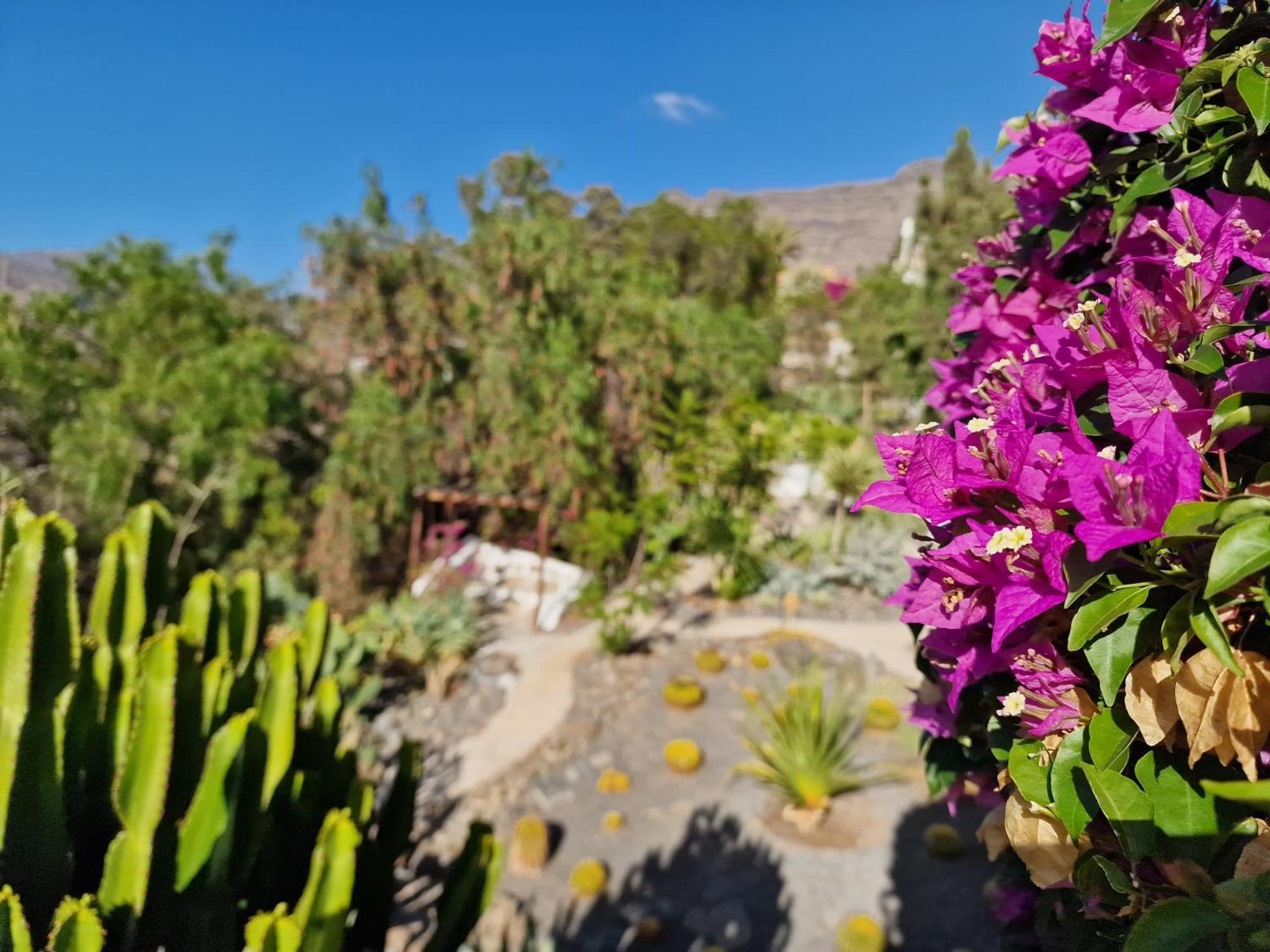 הוילה Mogán Historica Casa Con Vistas Al Jardin De Cactus Y Montanas מראה חיצוני תמונה