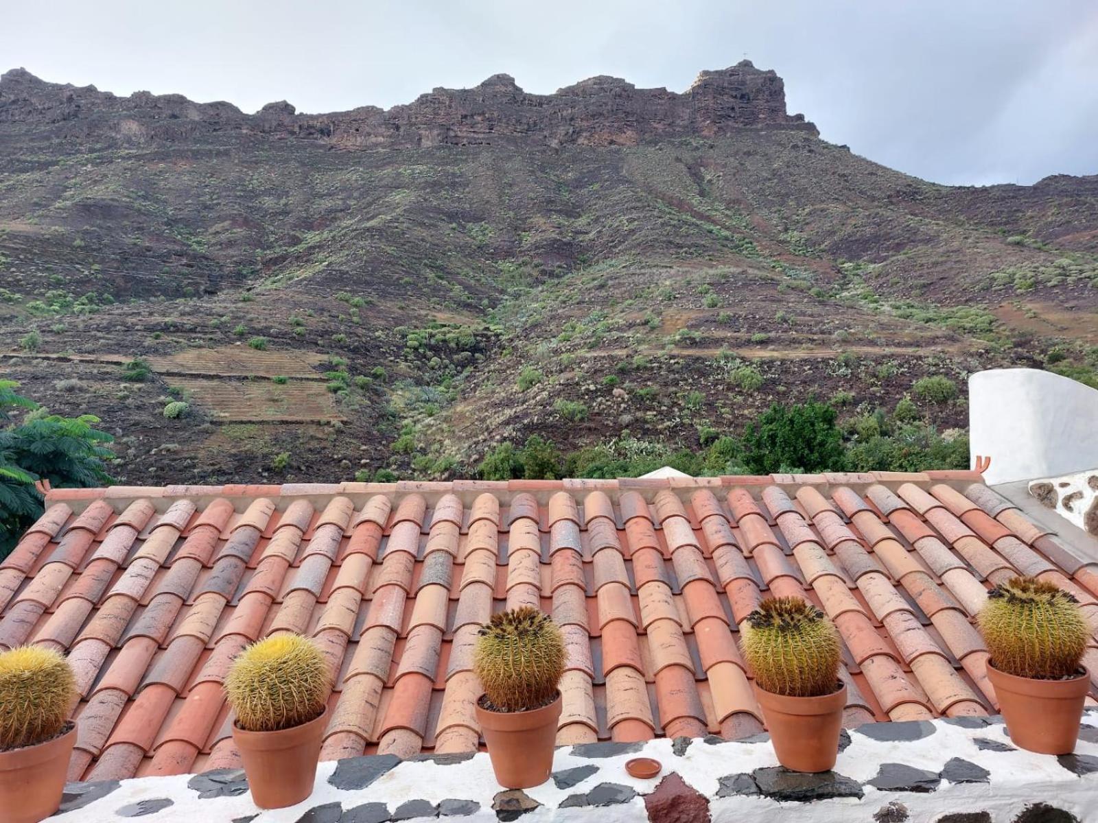 הוילה Mogán Historica Casa Con Vistas Al Jardin De Cactus Y Montanas מראה חיצוני תמונה